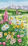 Alpine Meadows (image for) Alpine Meadows